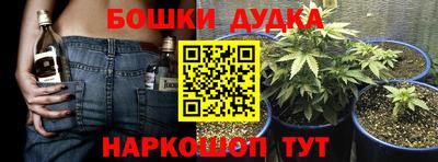 PSILOCYBIN Бугуруслан