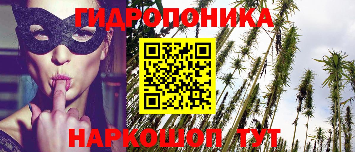 Бошки Шишки Amnesia Северодвинск